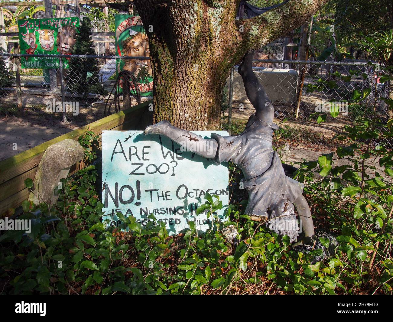 Skurrile Schuld eines aufkommenden Kindes neben einem Schild mit einer wichtigen Botschaft im Octagon Wildlife Sanctuary in Punta Gorda, Florida, USA, 2020 © Ka Stockfoto