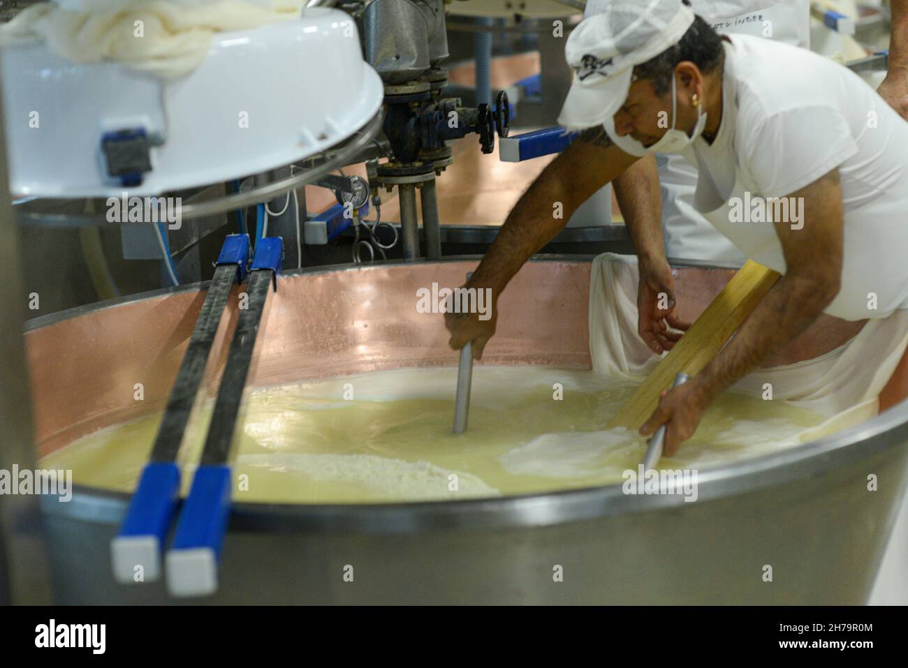 Parma 2064 Parmigiano Reggiano Käseherstellung Milchviehbetrieb Kochen Milch und Herstellung von Bio-zertifizierten Parmesan-Käse Stockfoto