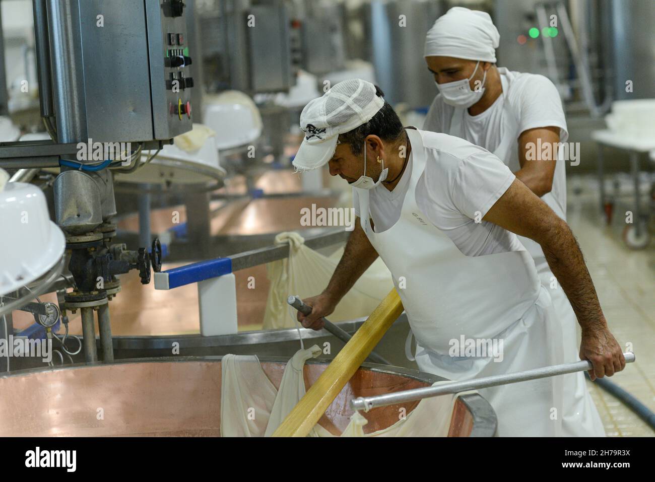 Parma 2064 Parmigiano Reggiano Käseherstellung Milchviehbetrieb Kochen Milch und Herstellung von Bio-zertifizierten Parmesan-Käse Stockfoto