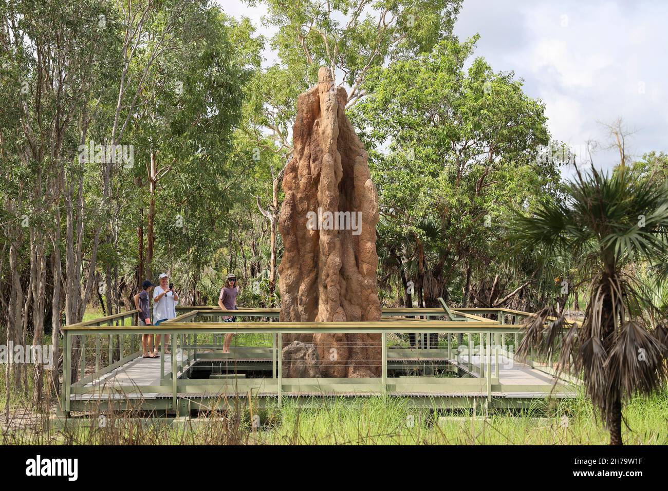 Cathedral Termitenhügel im Litchfield National Park, Northern Territory, Australien. Stockfoto