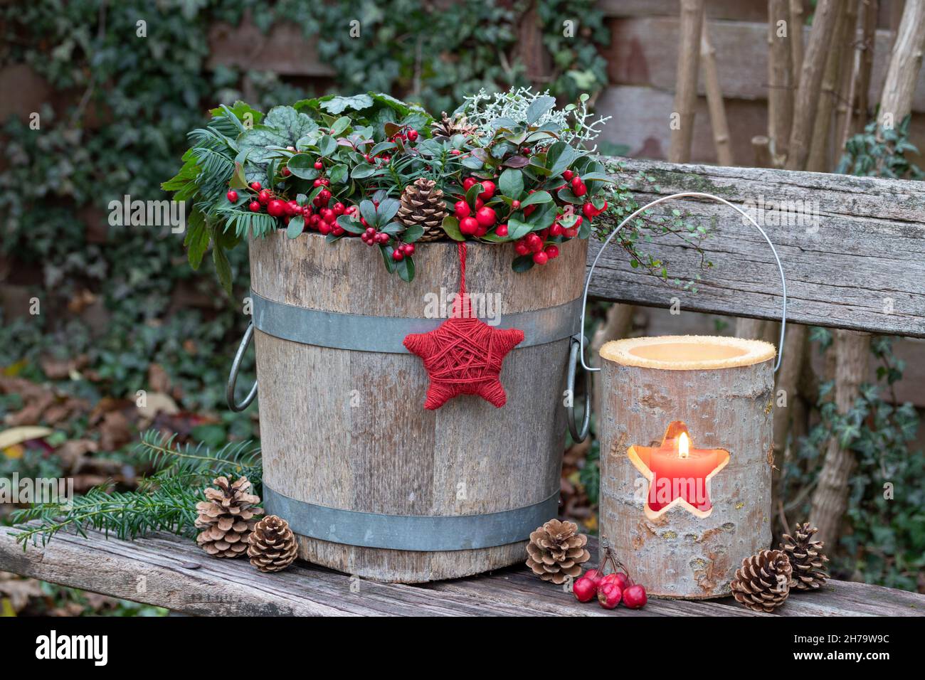 weihnachtliche Gartendekoration mit wintergrün, heuchera und Kissenbusch im Holzpflanzentopf Stockfoto