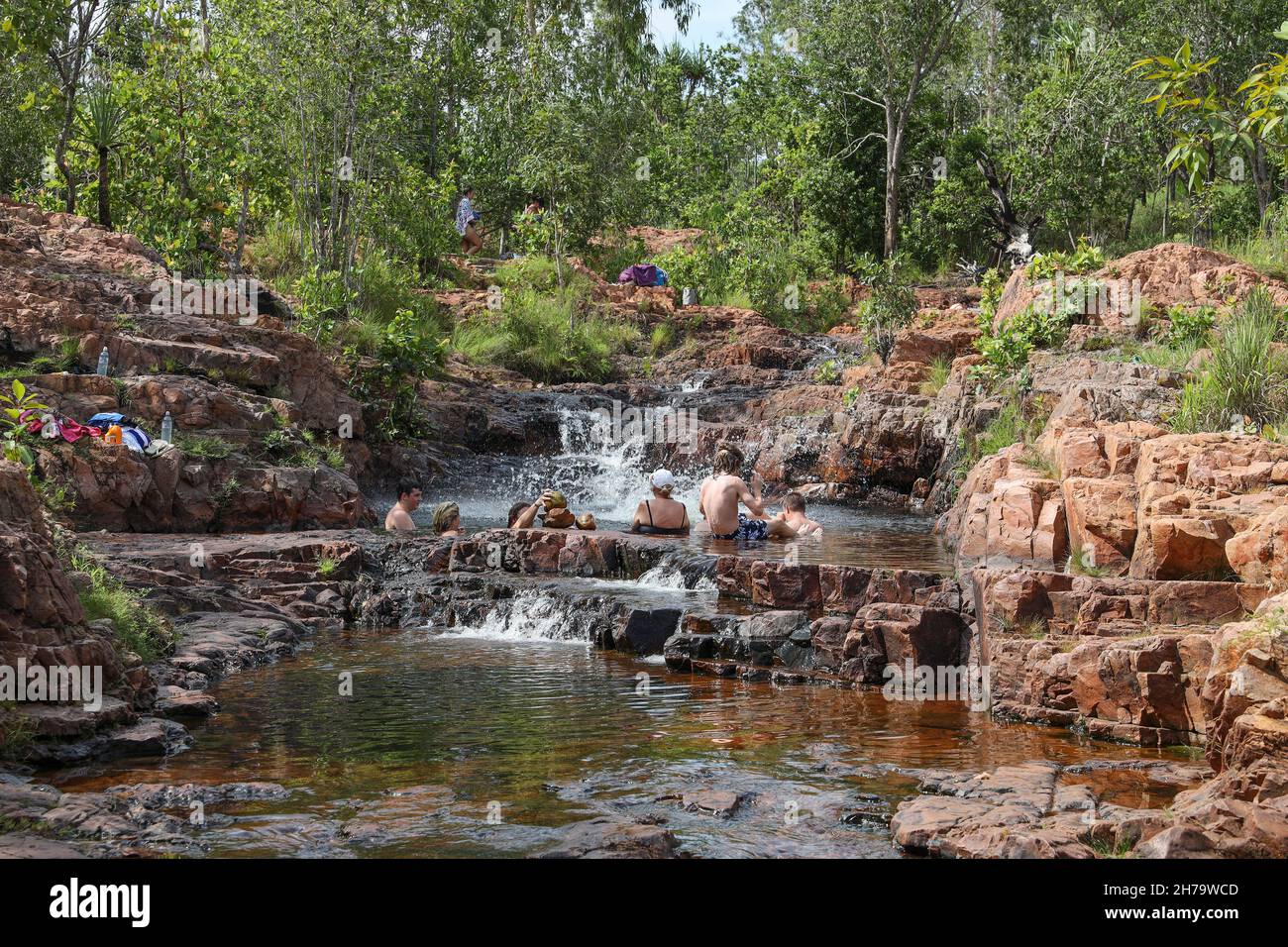 Litchfield National Park, Northern Territory, Australien Stockfoto