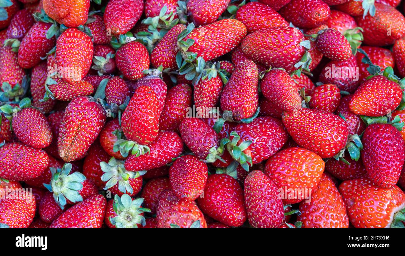 Frische jucy Erdbeere Hintergrund Beeren auf dem Markt Stockfoto