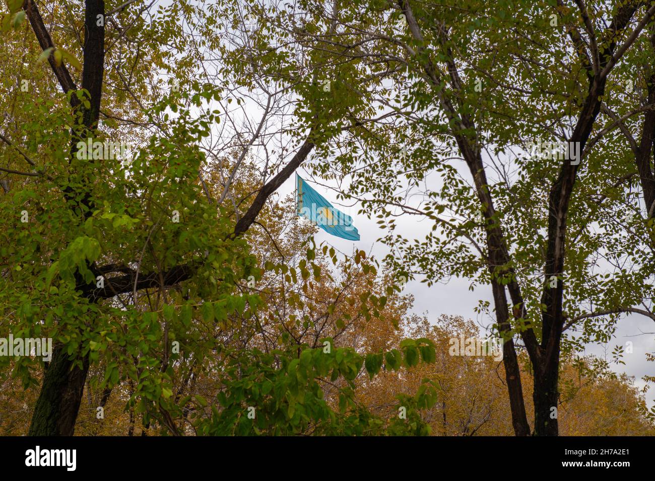 die Flagge kasachstans winkt im Herbst im Wind Stockfoto
