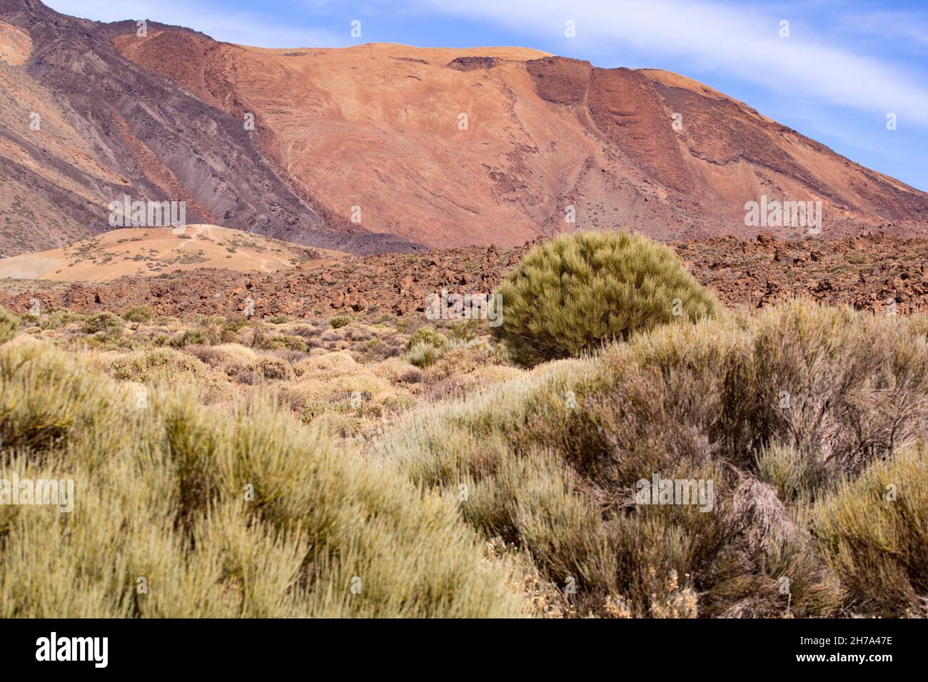 Wüstenlandschaft im Teide Nationalpark, Teneriffa, Kanarische Inseln, Spanien. Stockfoto