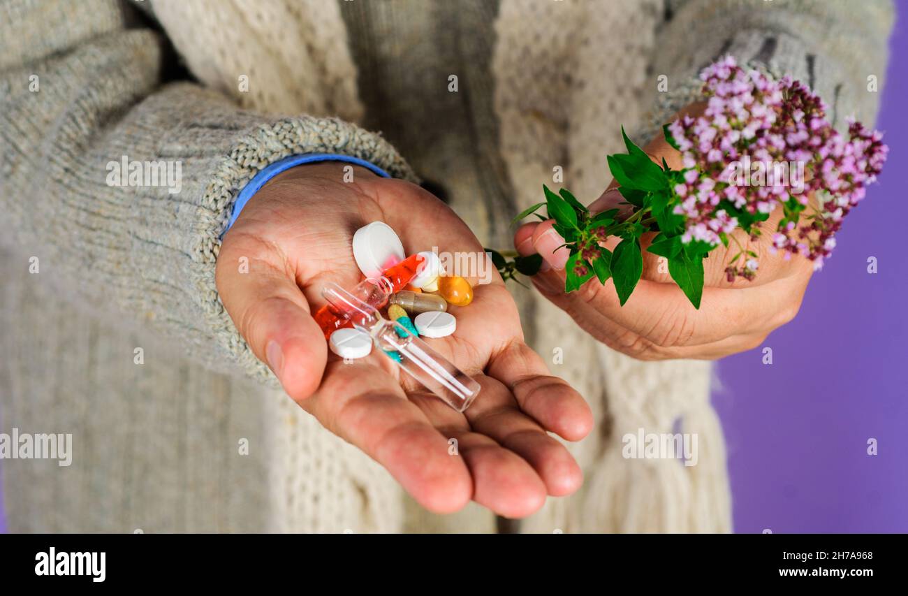 Mann Hand mit Pillen und Kräuterpflanze. Natürliche Kräuter. Homöopathie, Naturheilkunde. Alternative Medizin. Stockfoto