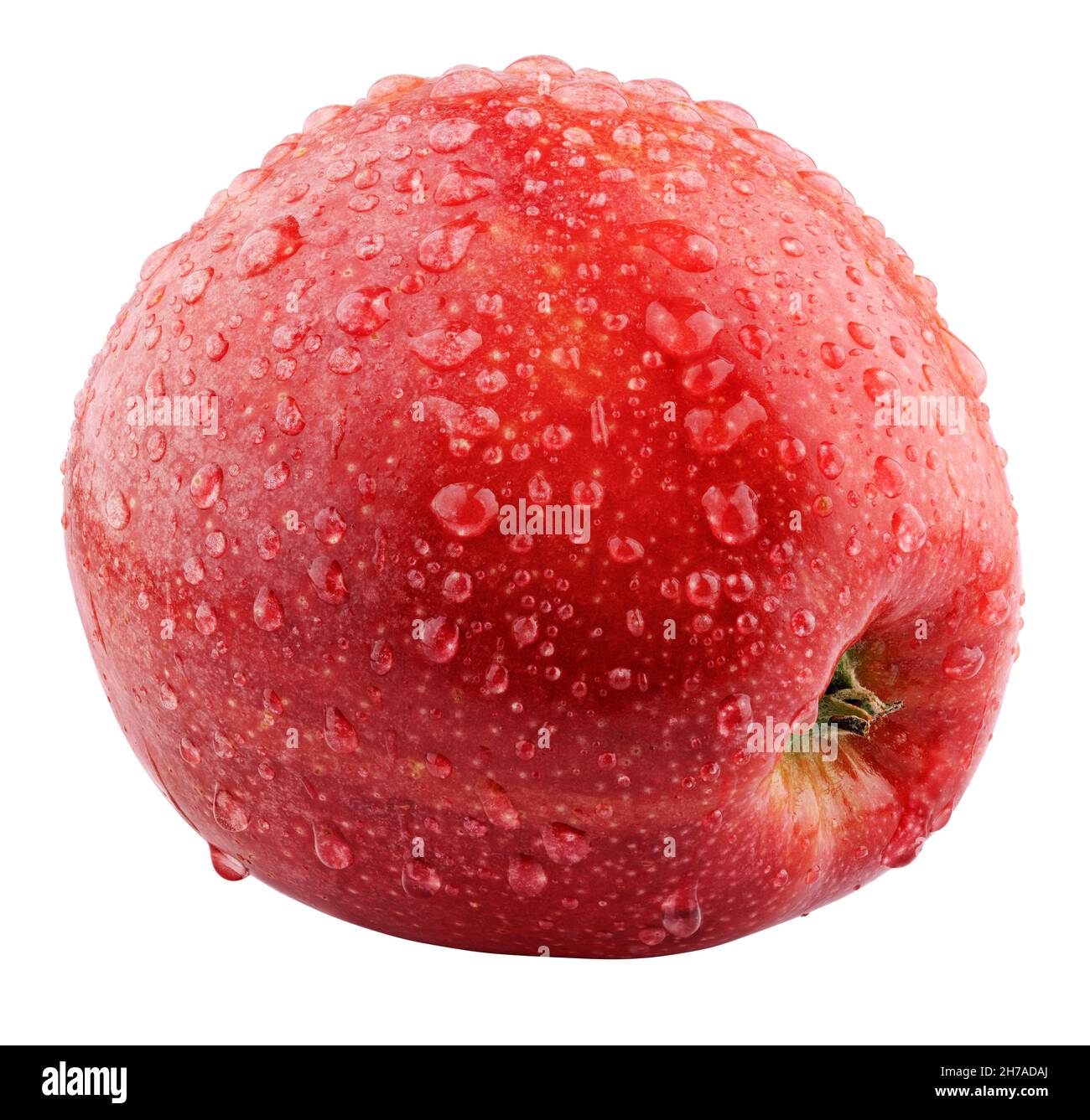 Einzelner frischer nasser roter Apfel mit Tropfen isoliert auf weißem Hintergrund. Roter Apfel mit Schnittpfad. Volle Schärfentiefe Stockfoto