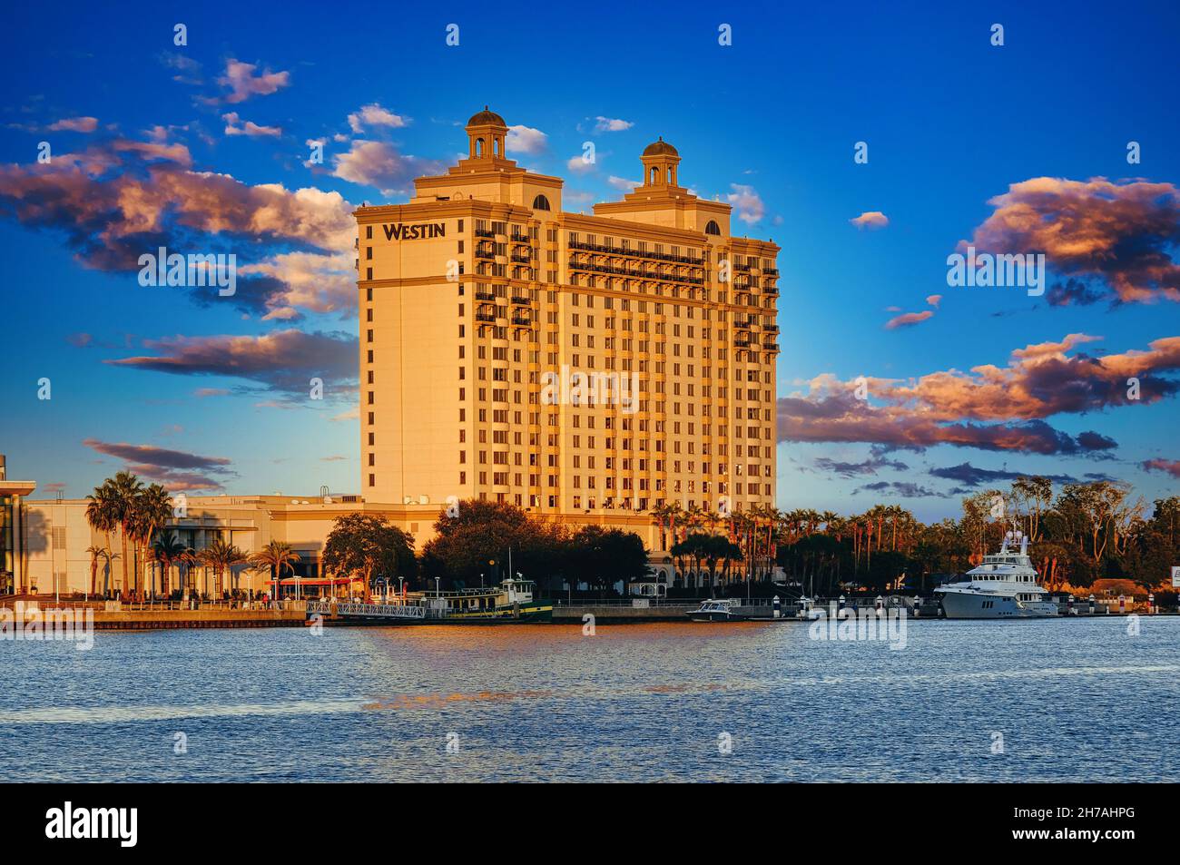 Savannah Westin im späten Nachmittagslicht Stockfoto