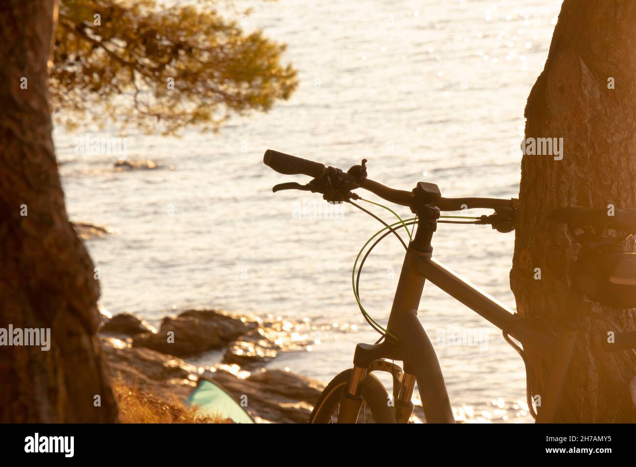 Das Fahrrad lehnte sich im Sommer bei Sonnenuntergang an einem Kiefernbaum über dem Strand am Meer, Details in warmen Vintage-Farben Stockfoto