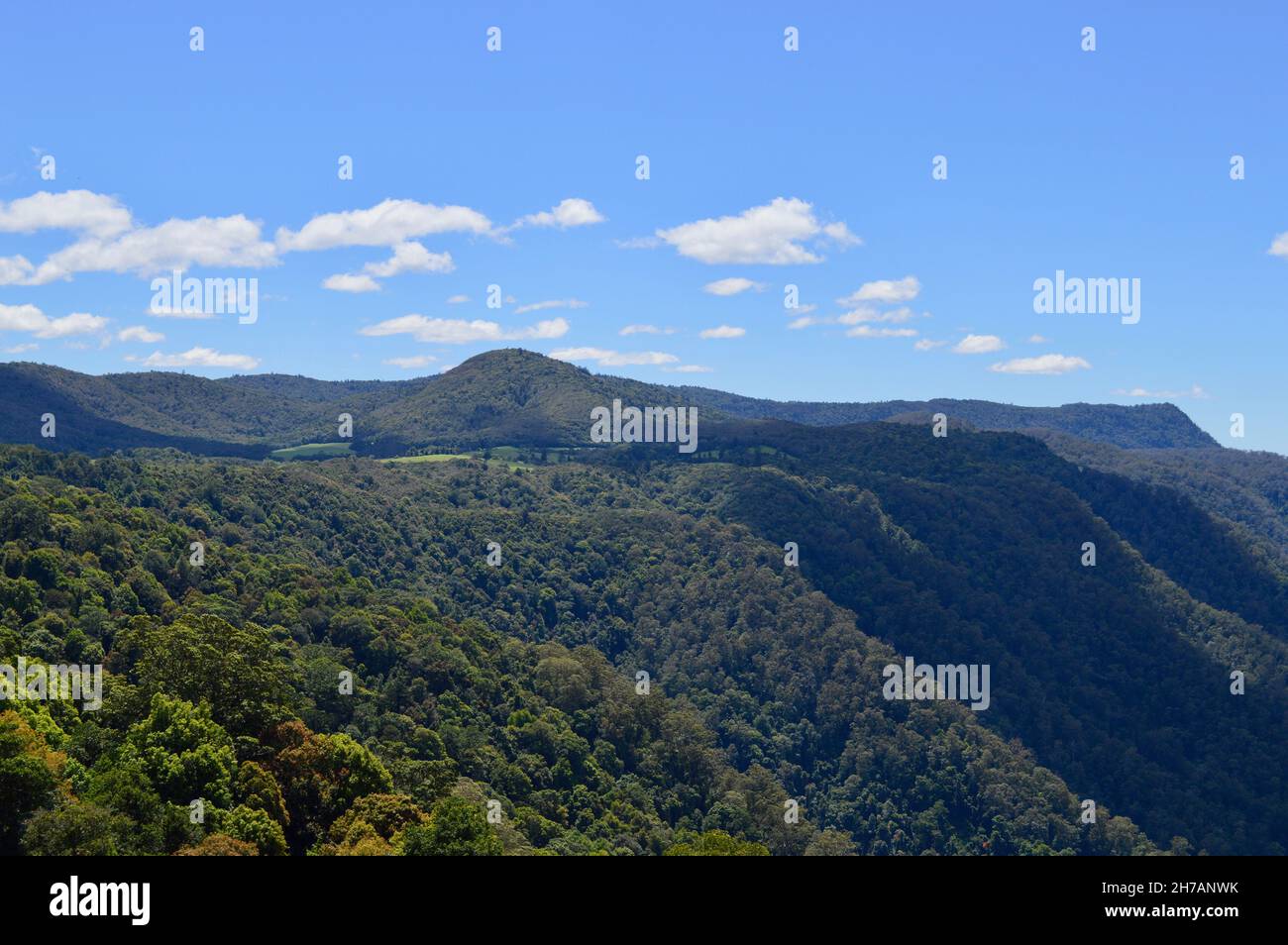 Blick auf das Walddach und das Hochland in der Nähe des Dorrigo National Park, NSW Stockfoto