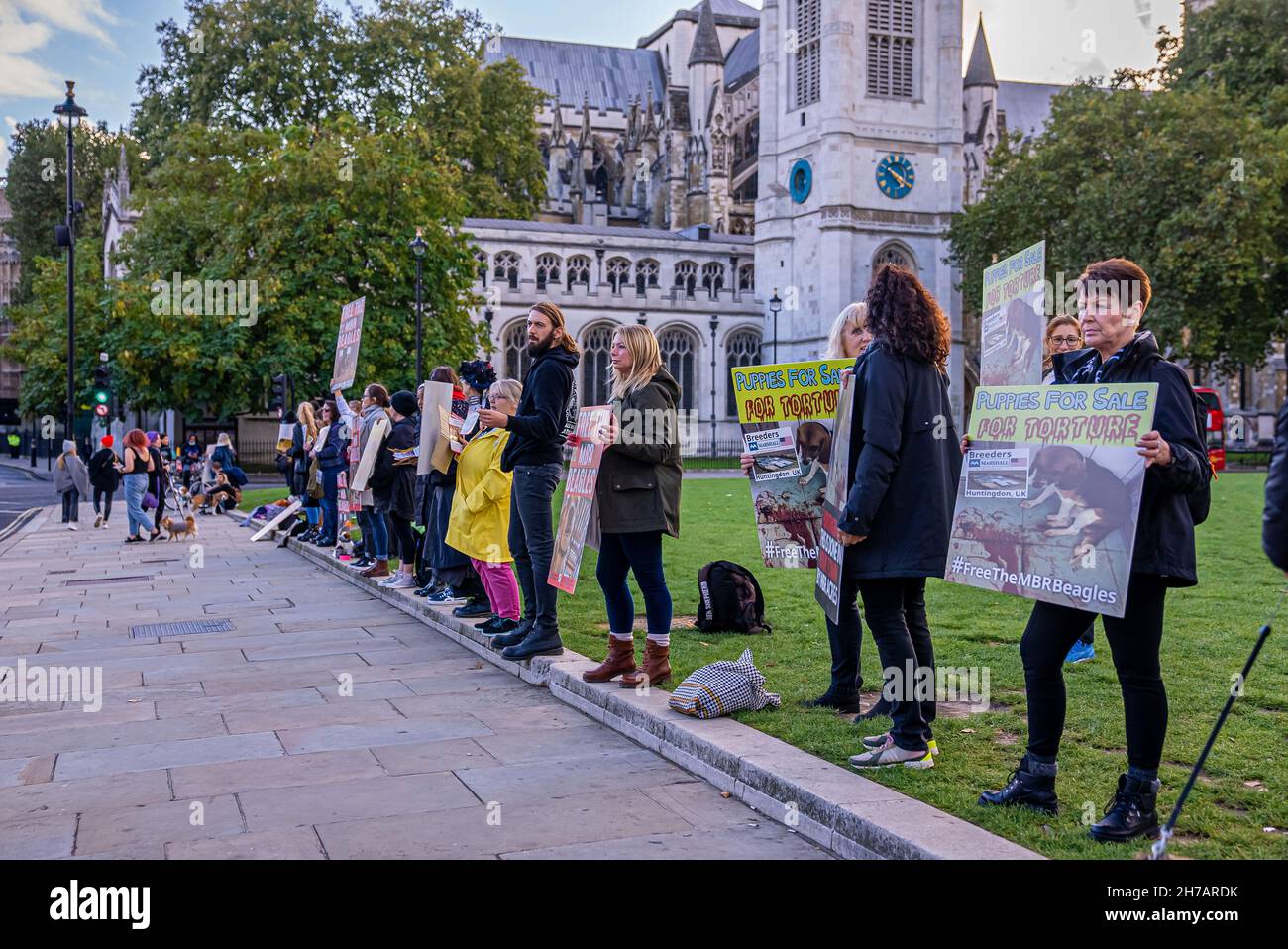 Eine Menge versammelt sich zu einer Anti-Brexit-Kundgebung vor dem Parlament. Stockfoto