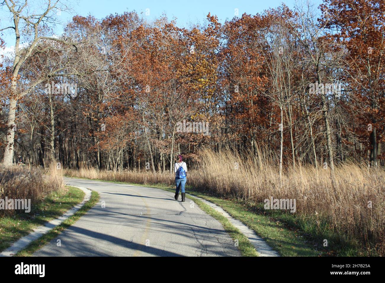 Frau, die im Spätherbst mit einem Rucksack auf dem North Branch Trail in Miami Woods in Morton Grove, Illinois, spazierengeht Stockfoto
