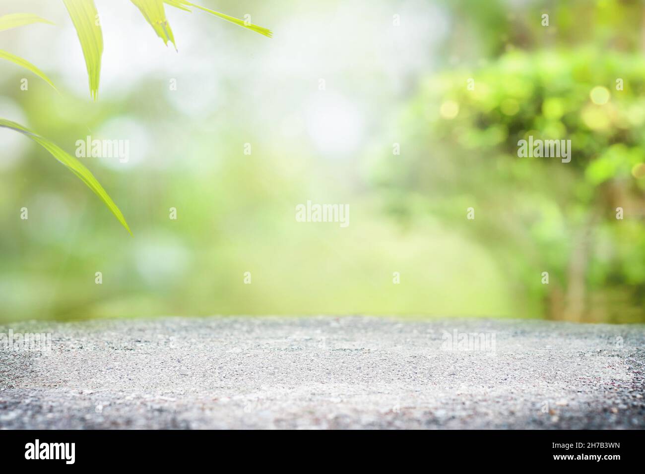 Steingraue Oberfläche mit sommergrünem Hintergrund Stockfoto