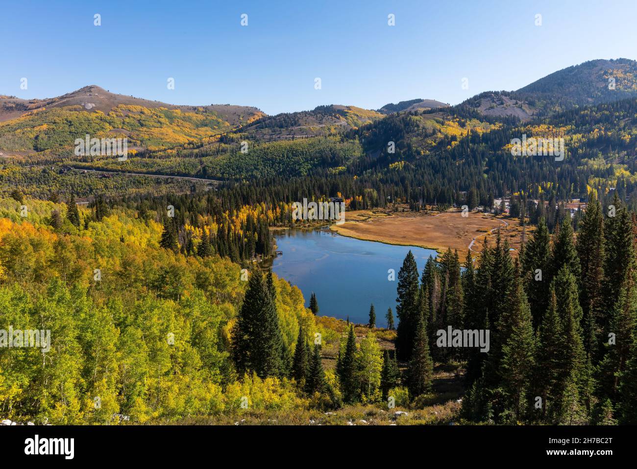 Quaking Aspen und Silver Lake im Herbst, Big Cottonwood Canyon, Wasatch Mountains, Utah Stockfoto