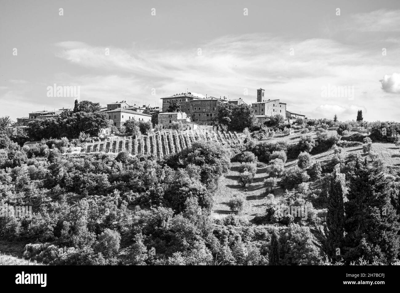 Szenische Schwarz-Weiß-Aufnahme eines Dorfes, umgeben von landwirtschaftlichen Feldern und Bäumen Stockfoto