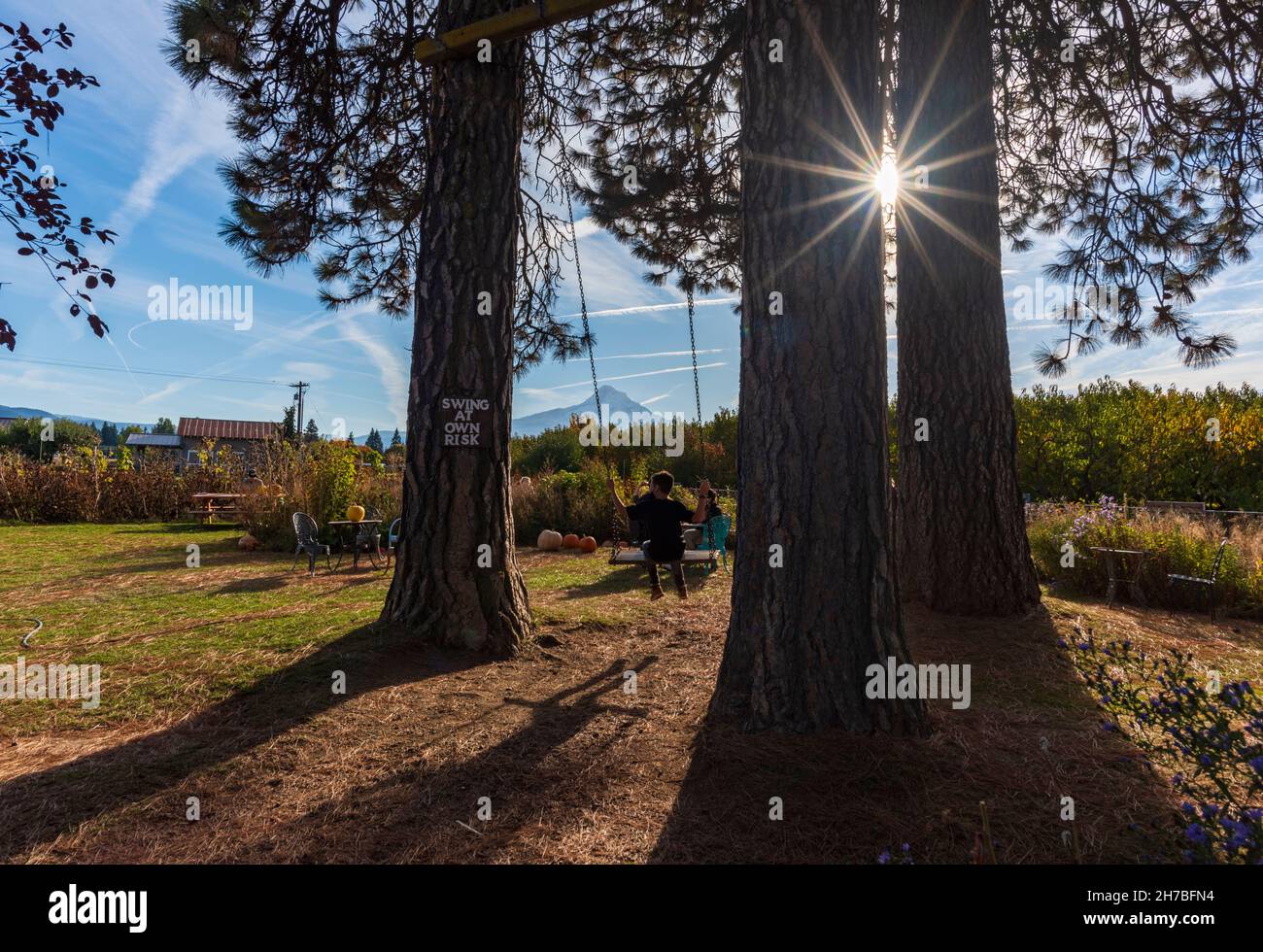 Ein Kind schwingt auf einer flachen Holzbank auf einer Farm in der Nähe von Hood River, Oregon, USA Stockfoto