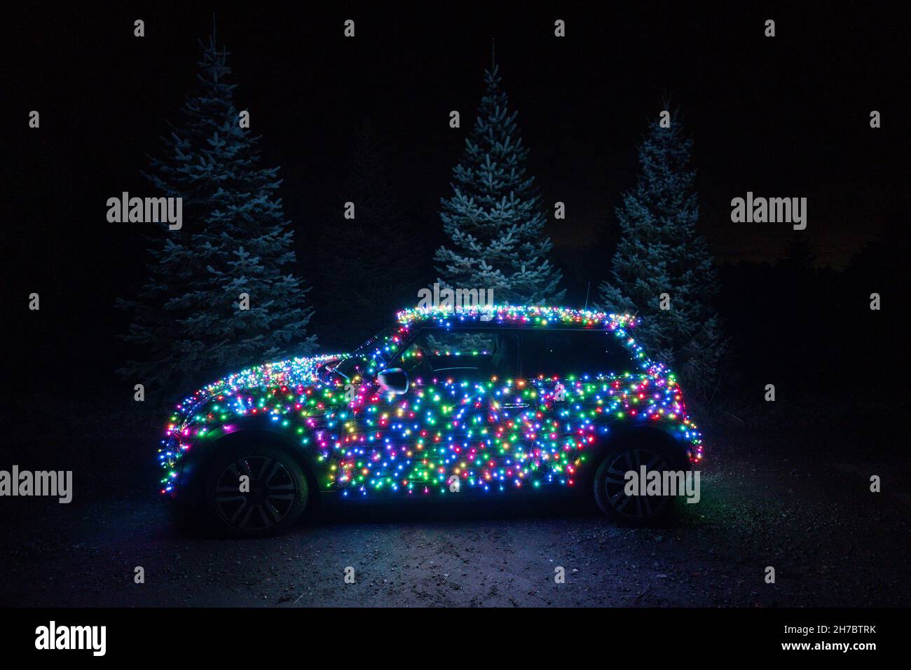 Ein Mini Electric, der in Tausende von Weihnachtsmärchen gehüllt ist, auf der Greenfield Farm in Christmas Common, Oxfordshire. Nico Martin aus Bracknell in Berkshire hat in den letzten zwei Jahren seinen eigenen Mini ins Licht gepackt und Geld für den MS Trust und für Duchenne UK gesammelt. Dieses Jahr unterstützen Mini Nico und liefern ihm einen Mini Electric, der in Tausende von Weihnachtslichtern gehüllt ist und bereit ist, ihn auf die Straße zu bringen. Bilddatum: Dienstag, 9. November 2021. Stockfoto