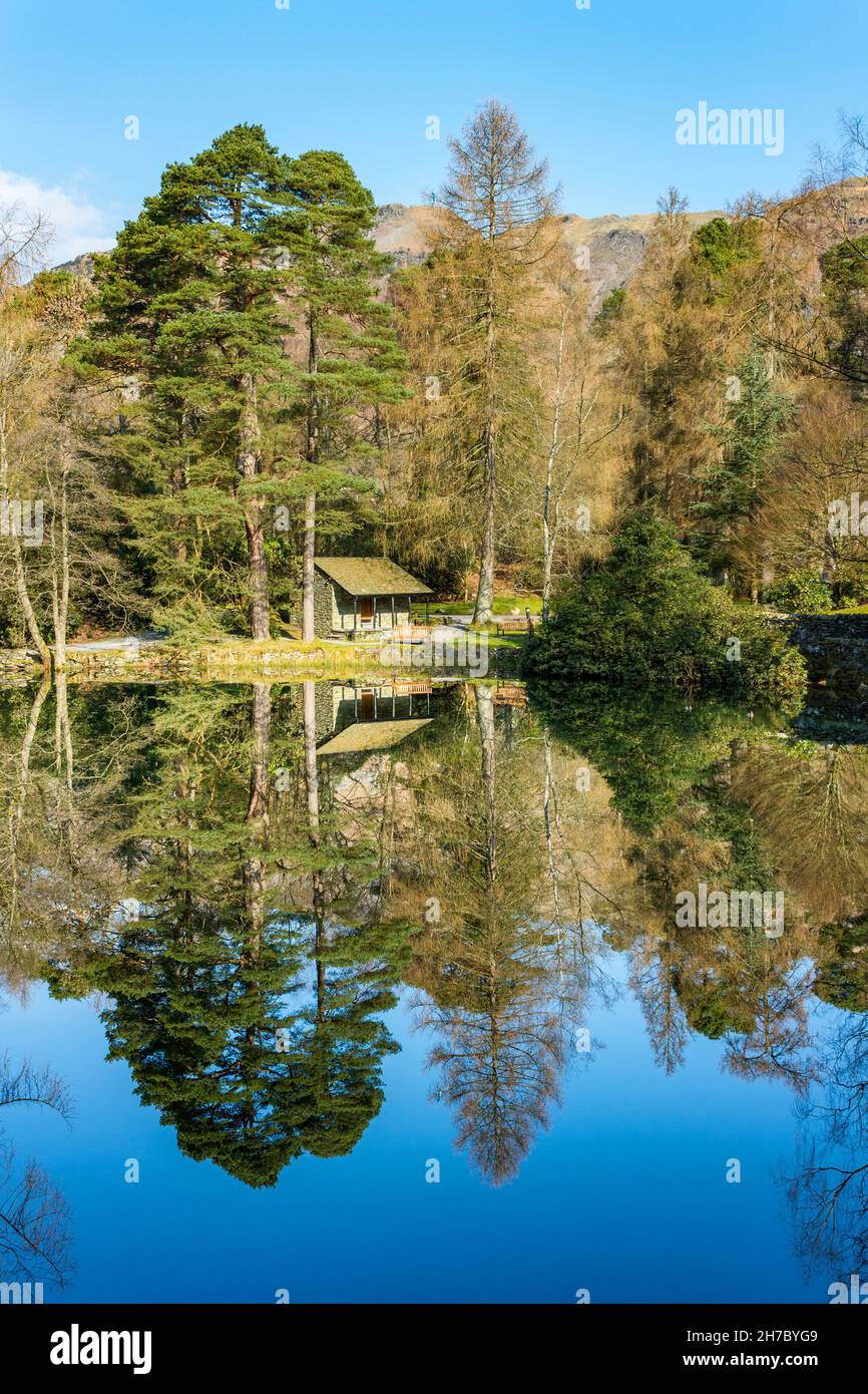 Waldhütte und Bäume spiegeln sich perfekt in den stillen Gewässern von Hobson's Tarn, Langdale Estate, Elterwater, Lake District, Cumbria, England, Großbritannien Stockfoto
