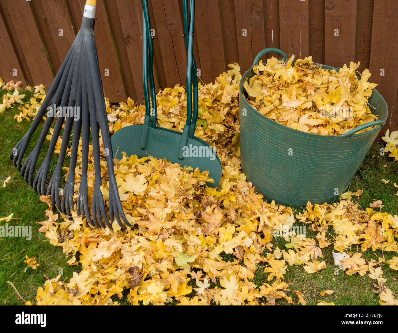 Herbst fallen Blatt Clearing mit Rechen, Blatt Grabber und Trug, Großbritannien Stockfoto