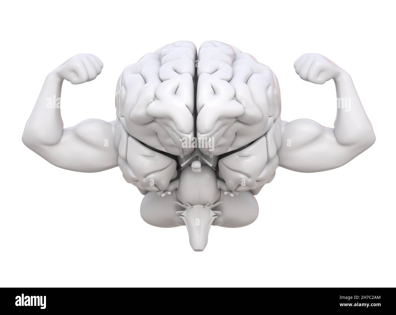Gesundes und starkes Gehirn. Gesundheit von Intellekt und Geist. 3D Abbildung Stockfoto