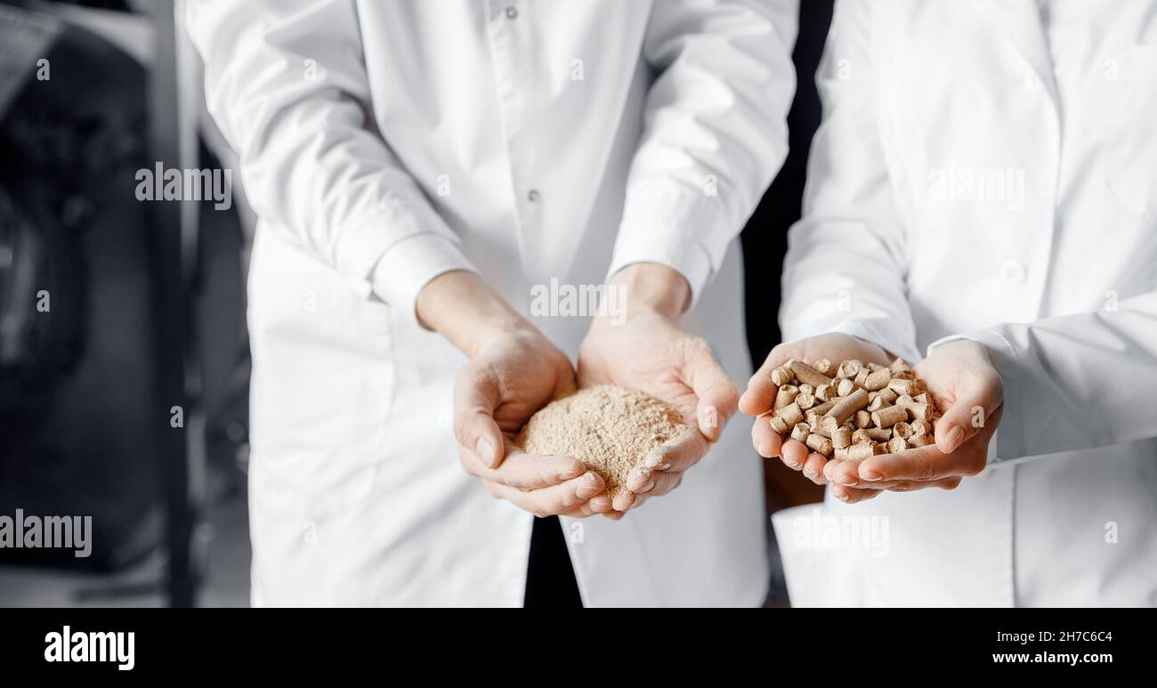 Weizenkleie auf Hand Arbeiter Fabrik Mühle Hintergrund. Stockfoto