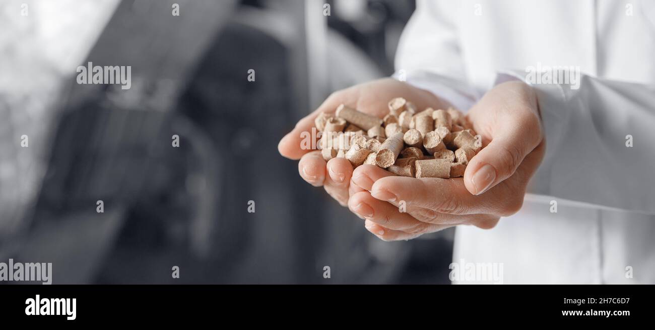 Banner Weizenkleie im Hintergrund der Ausrüstung der Anlage. Industrie Lebensmittelfabrik. Stockfoto