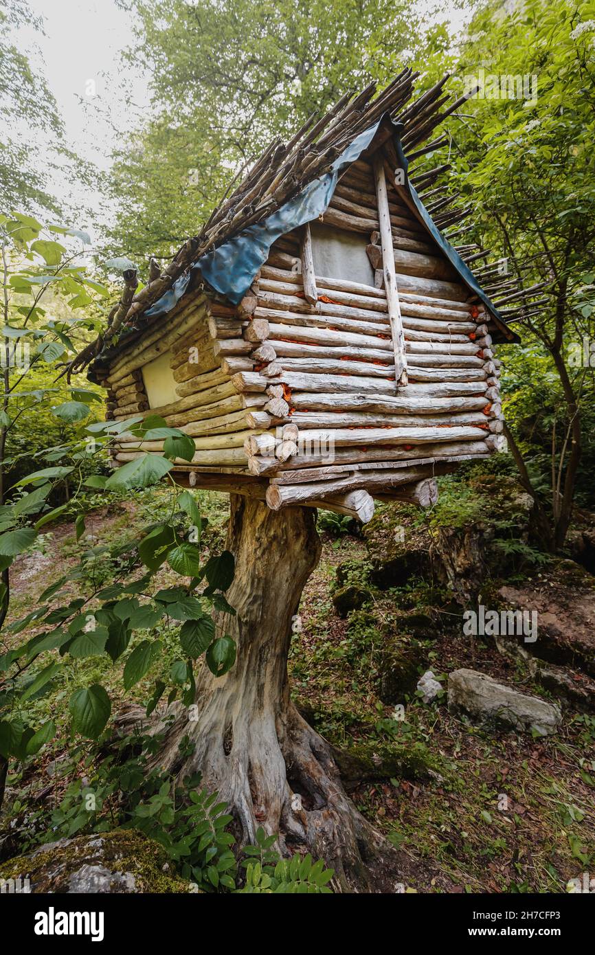 Gruselige Hütte auf einem Baumstumpf im Wald. Das Konzept des Campens und das magische Haus von Baba Yaga aus der slawischen Mythologie Stockfoto
