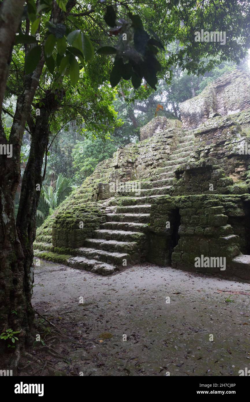 Guatemala, Tikal : kleinere Pyramide im Dschungel versteckt Stockfoto