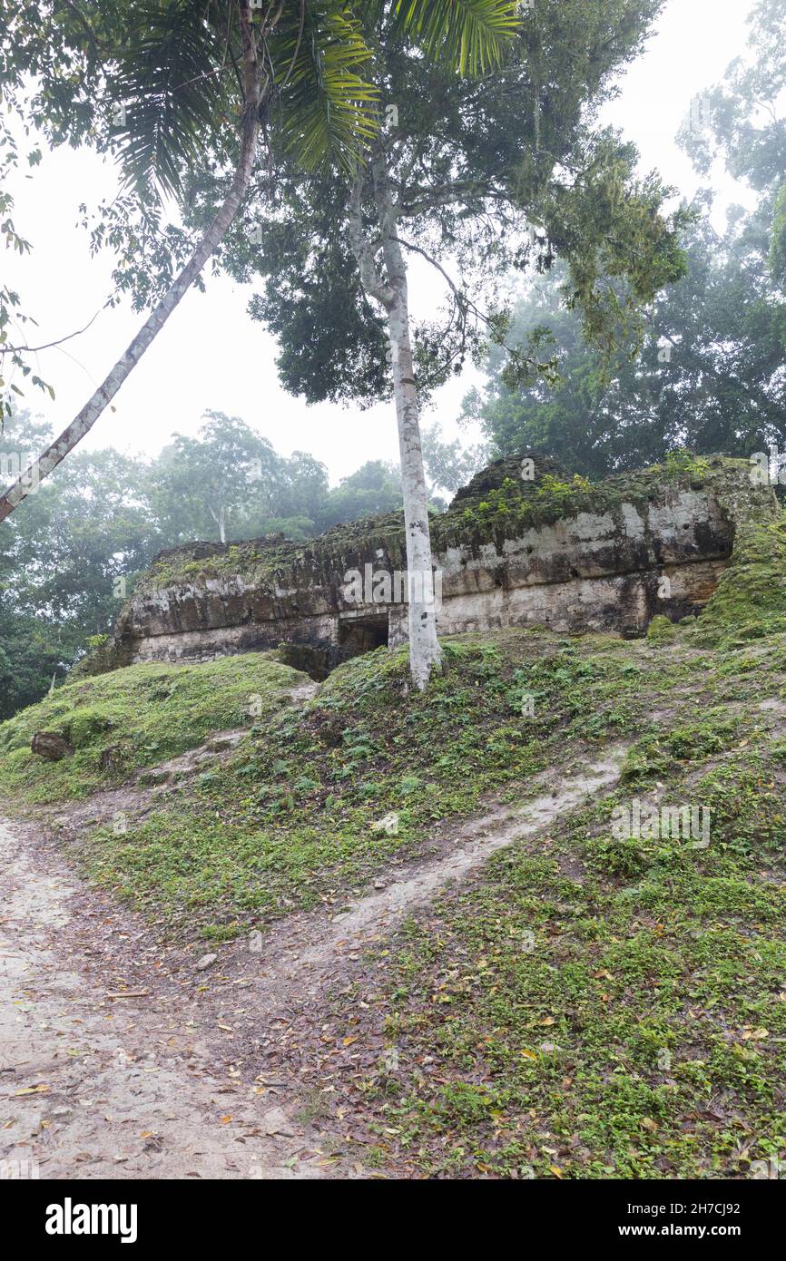 Guatemala, Tikal : kleinere Pyramide im Dschungel versteckt Stockfoto