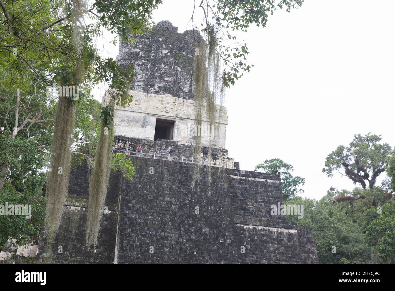 Tempel II, Teil der Tikal Ruinen, umgeben von Dschungel. Stockfoto
