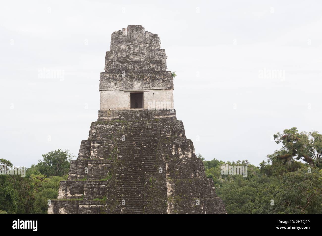 Tikal-Tempel I oder der große Jaguar Tikal Stockfoto