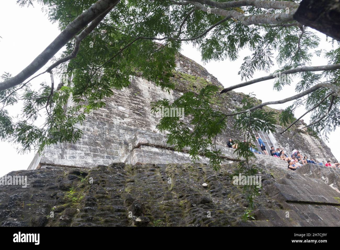 Touristen ruhen sich auf dem Tempel IV in den Ruinen von Tikal aus. Stockfoto