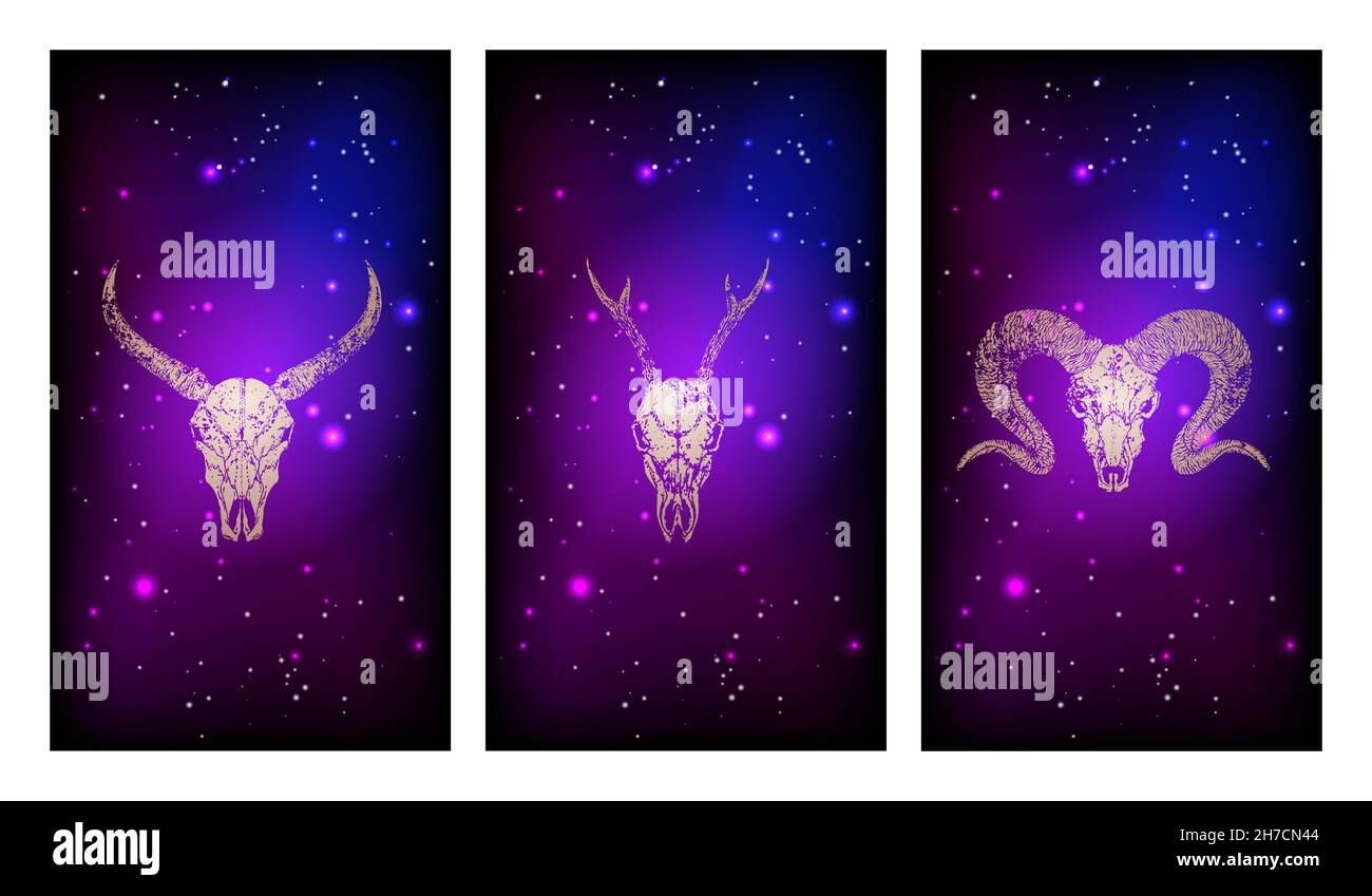 Vektor-Set aus drei Illustrationen mit goldenen Silhouetten Schädel Reh, RAM und Büffel vor dem Hintergrund des Sternenhimmels. Violettes Farbbild. Stock Vektor