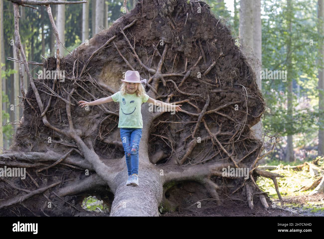 Kleines Mädchen balanciert vor einer riesigen Wurzelplatte einer Fichte, die von einem Hurrikan gefällt wurde, Deutschland, Bayern, Wildpark Poing Stockfoto