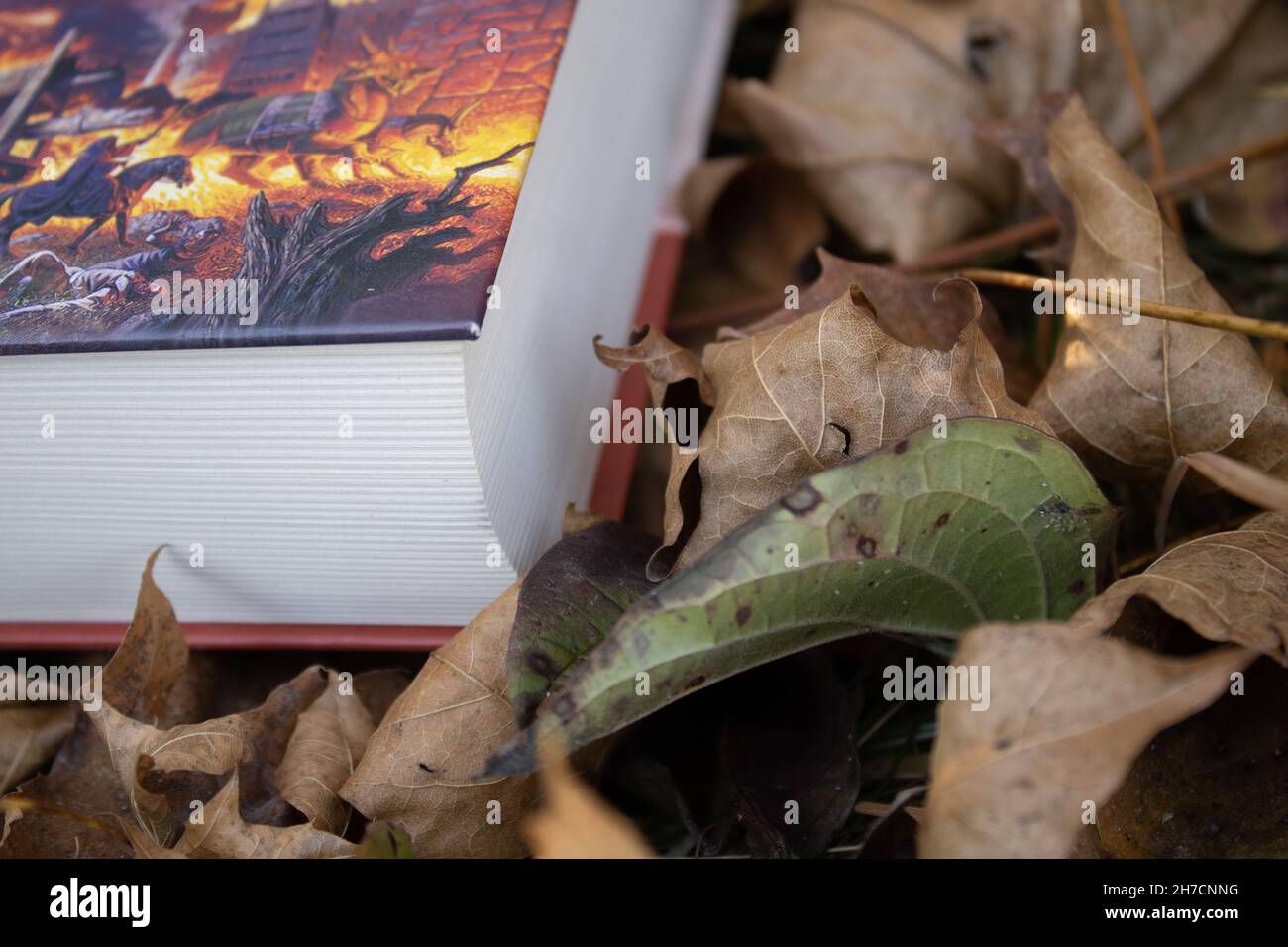 Ein Teil des Buches fällt auf den Hintergrund der Blätter. Bücher zum Lesen. Herbstbücher Stockfoto