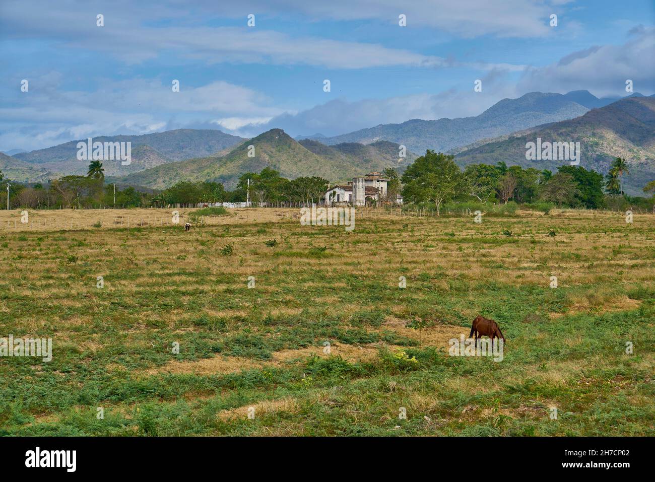 Hacienda mit Anbau von Land und Viehzucht im Tal der Ingenios, Kuba, Sancti Spiritus , Tal der Ingenios Stockfoto