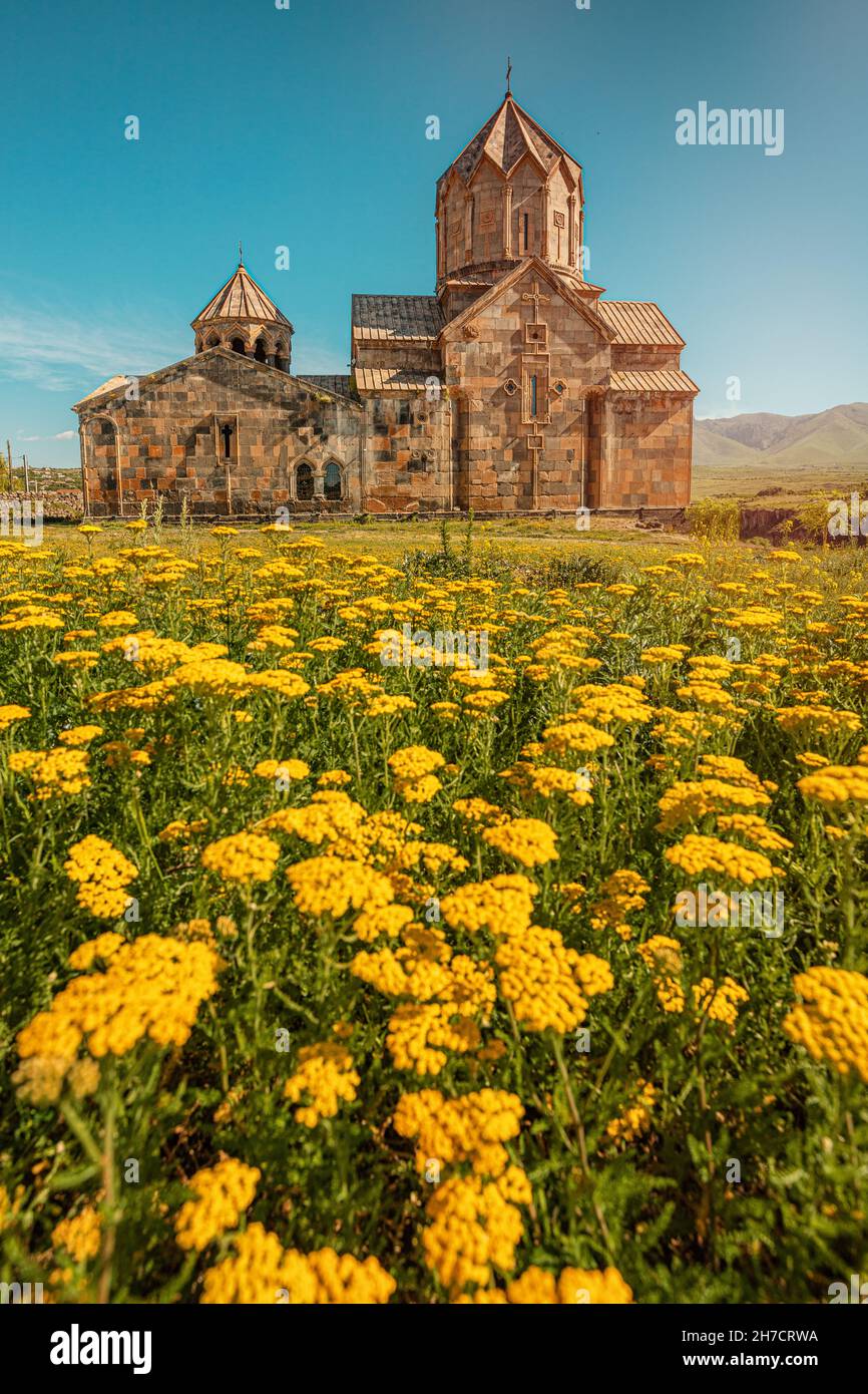 Hovhannavank Kloster und Kirche außen und gelb Tansy Blumen. Reisen und religiöse Ziele und Attraktionen von Armenien Stockfoto