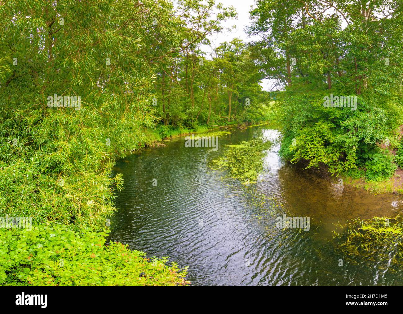 Dassow: Stepenitz in Mecklenburg-Schwerin, Mecklenburg-Vorpommern, Deutschland Stockfoto