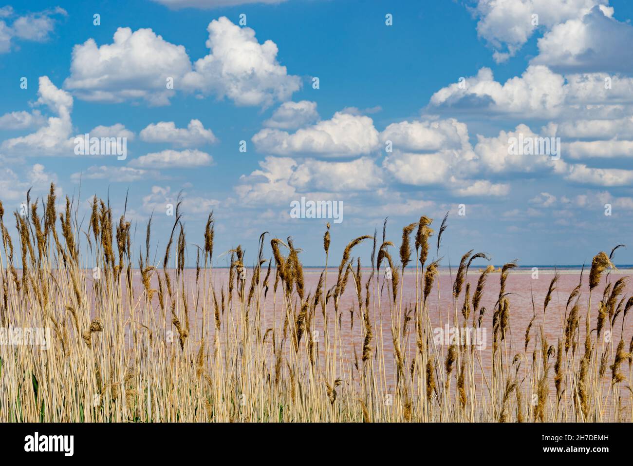 Die bewölkten Himmel über den rosafarbenen See Sasyk-Sivash. Jewpatoria, Krim. Stockfoto