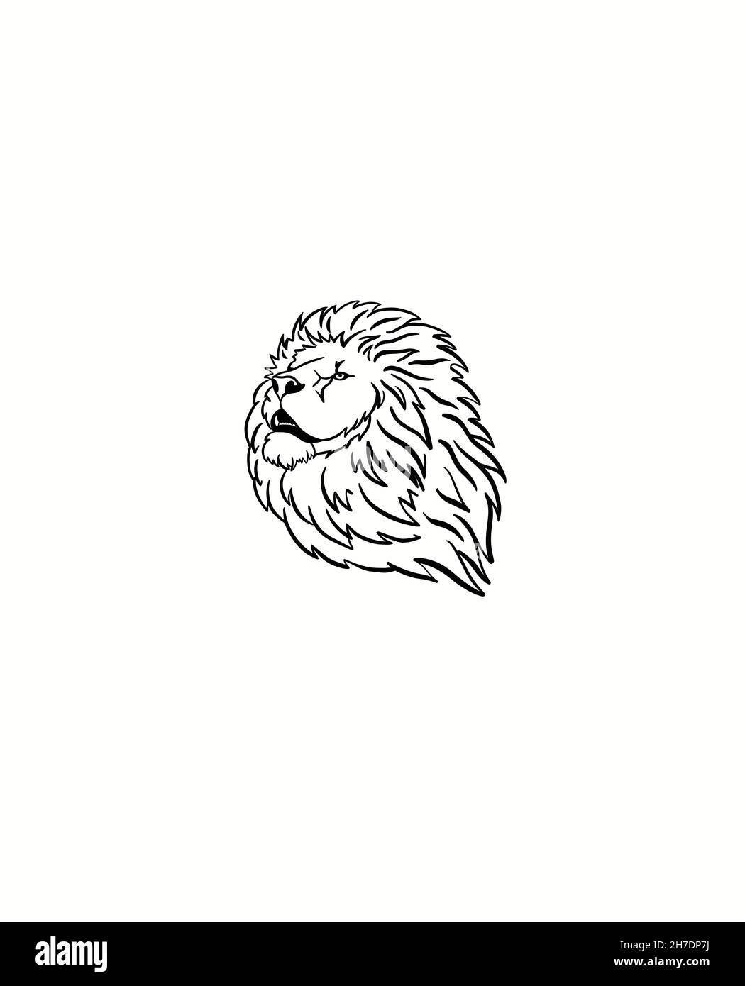 Das Gesicht eines Löwen im Profil. Stockfoto