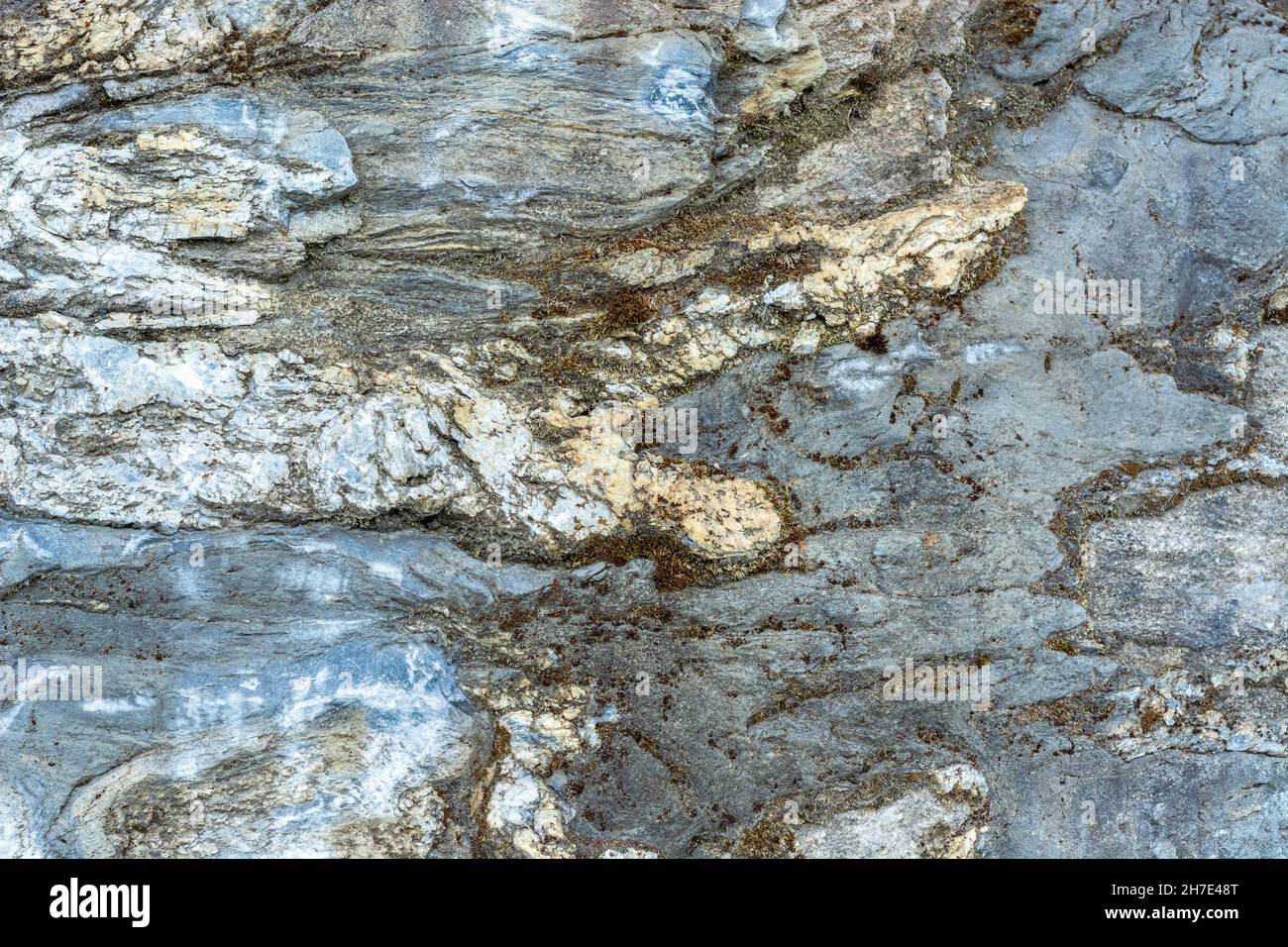 Oberfläche eines Marmorsteins, der auf der Straße im Ruskeala Mountain Park liegt und als abstrakter Hintergrund und Texturen verwendet werden kann. Stockfoto