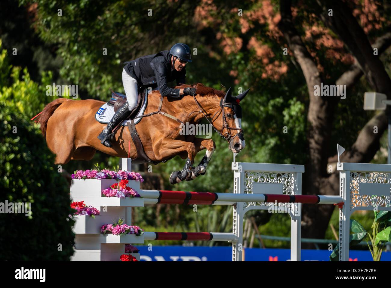 Paul O'Shea auf der Chanceloress in Monterrey, Mexiko Stockfoto