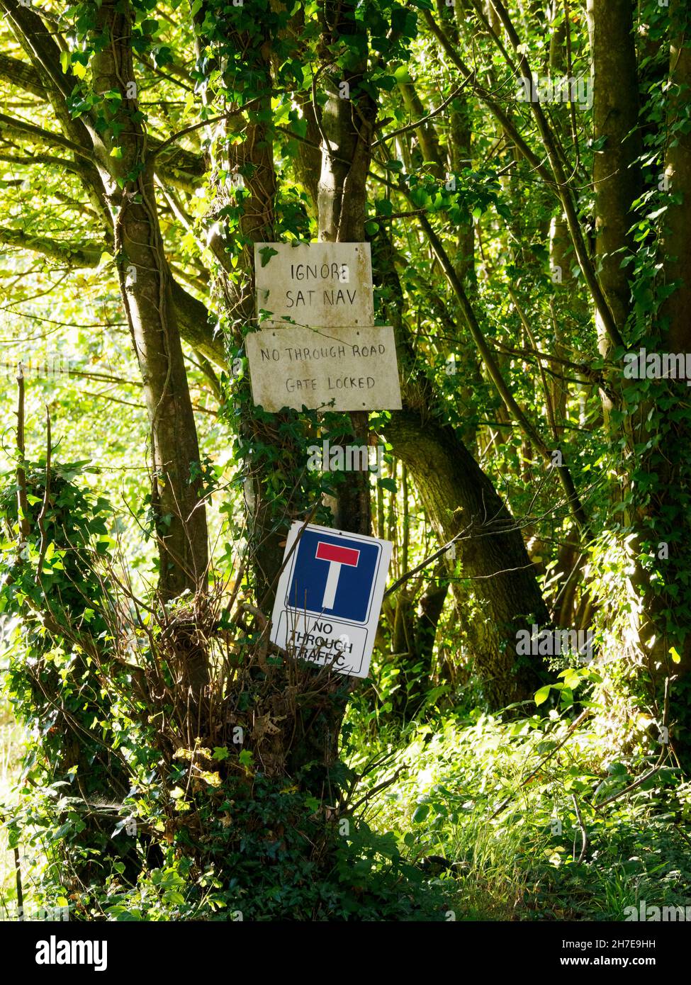 Handgeschriebenes Schild „No Thriugh Road“, Hampshire, Großbritannien Stockfoto
