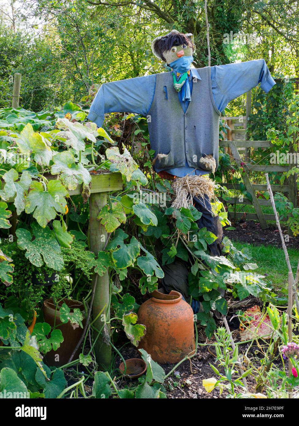 Vogelscheuche zum Schutz eines Gemüsegartens, Großbritannien Stockfoto