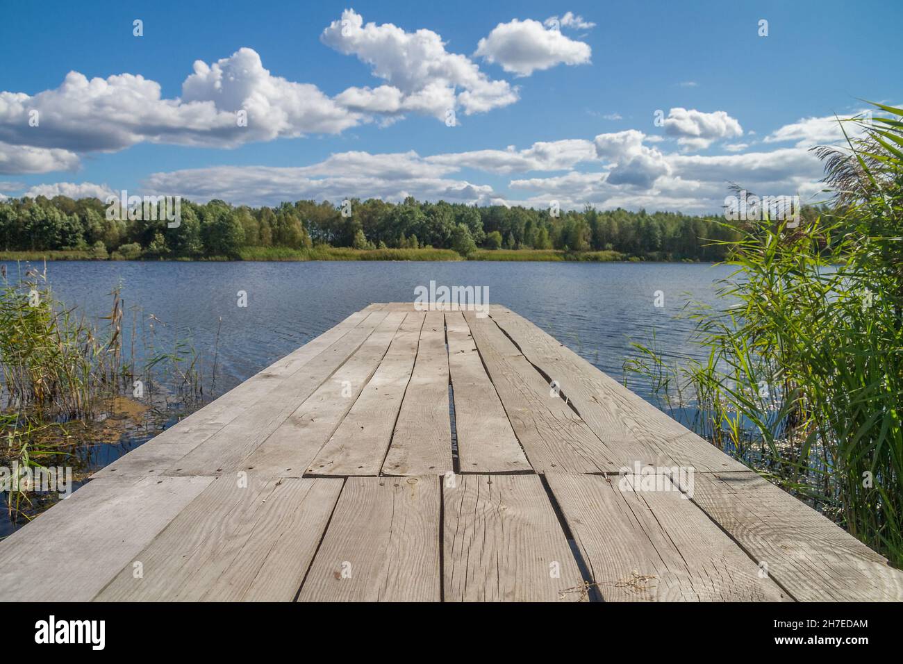 Leere Holzbretter Pier auf dem ruhigen Wasser des Sees in einem sonnigen Tag. Stockfoto