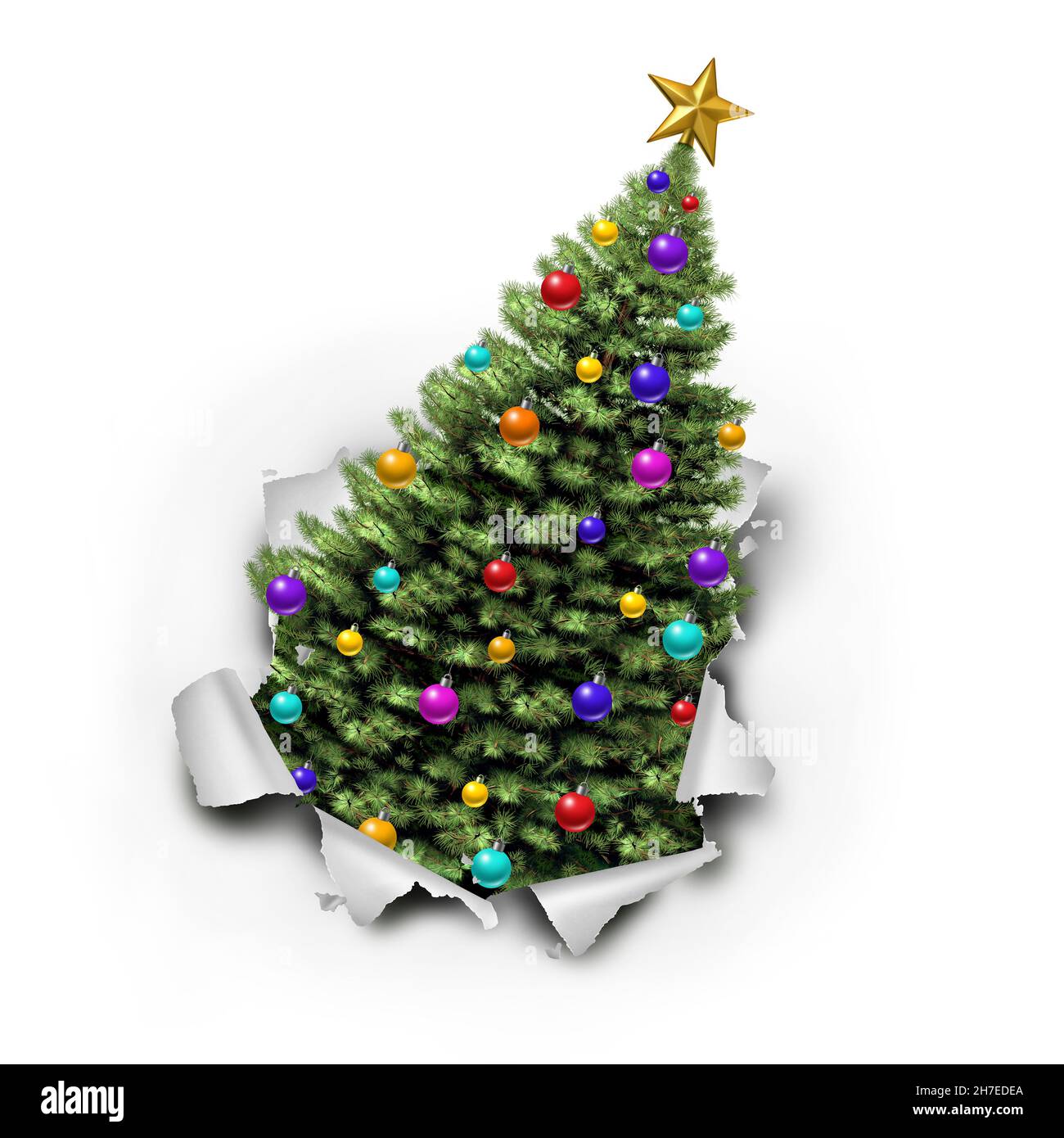 Geschmückter Weihnachtsbaum aus naturbelassenen grünen Waldkiefern mit verzierten Zierkugeln und Geschenken mit roten Bändern und Schleifen als saisonales Symbol. Stockfoto