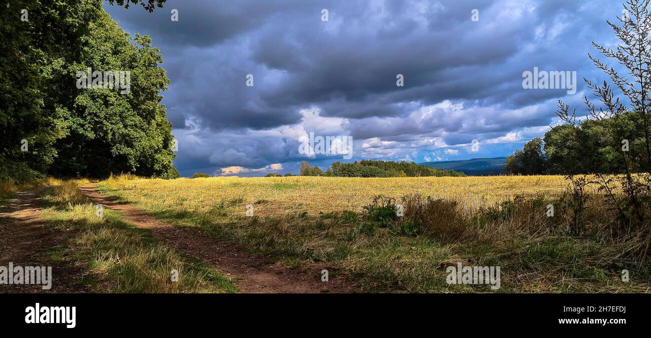 Natur und Landschaft mit Sonne und Schatten Stockfoto