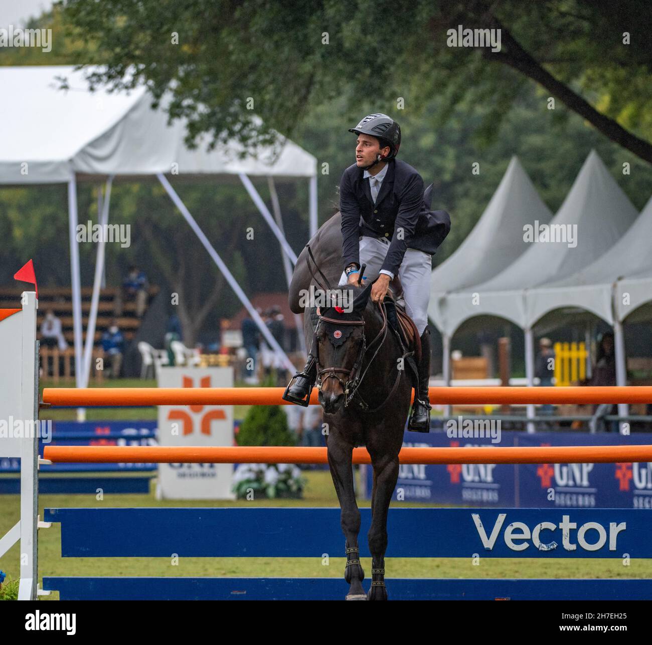 Monterrey Mexico mit Daniel Bluman und Ubiluc beim Grand Prix 1,55m Stockfoto