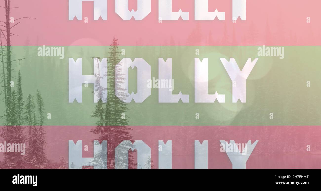 Bild eines weißen Stechtextes auf roten und grünen Streifen über Bäumen zur weihnachtszeit Stockfoto