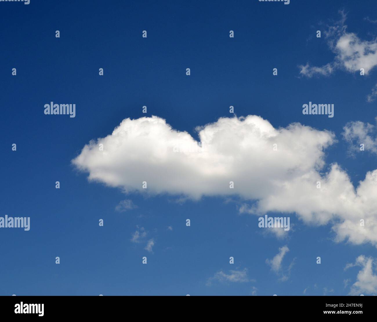 Weiße Wolken fliegen im blauen Sommerhimmel, saisonale Wetterszene Stockfoto
